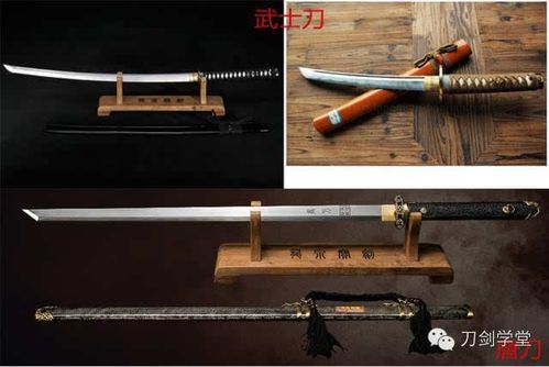 日本武士刀vs中国唐刀