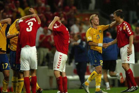 04欧洲杯瑞典丹麦的相关图片