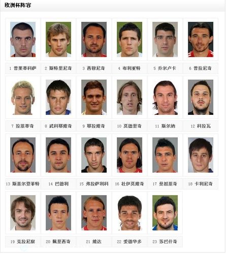 2012欧洲杯队员名单的相关图片