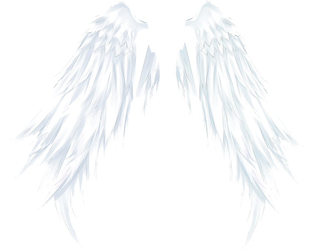 天使之翼的相关图片