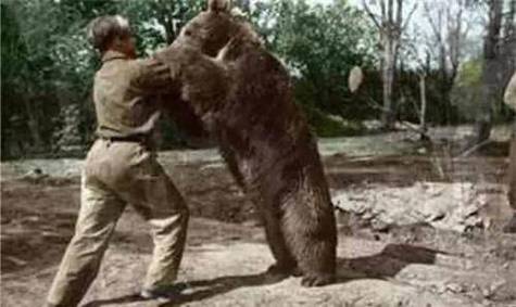 波兰男子vs棕熊的相关图片