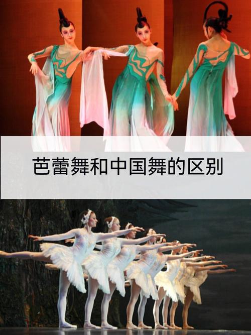 舞蹈生中国舞vs芭蕾舞的相关图片