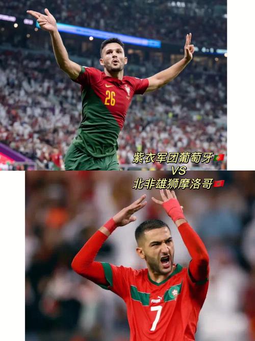 葡萄牙vs摩洛哥佩佩痛哭的相关图片