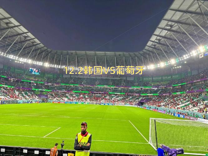 葡萄牙vs韩国几点开球的相关图片